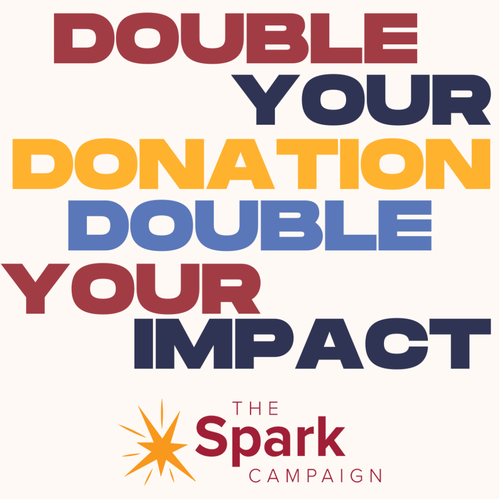 Spark Match--Double Your Donation