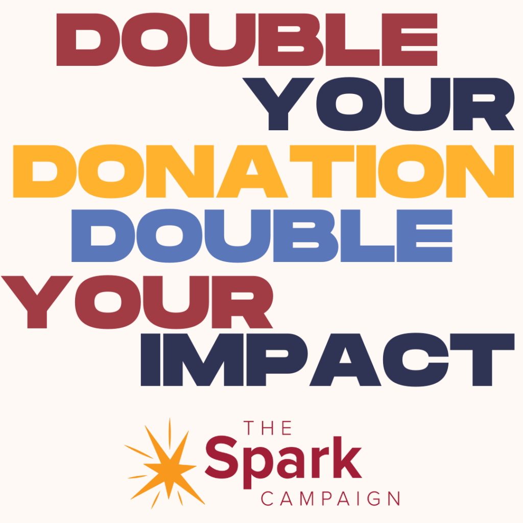 SPARK Partners Mentoring End of Year Campaign