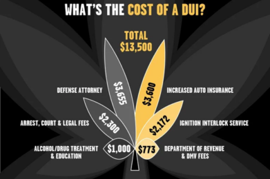 The image is an infographic titled "What's the Cost of a DUI?" with a total cost of $13,500.