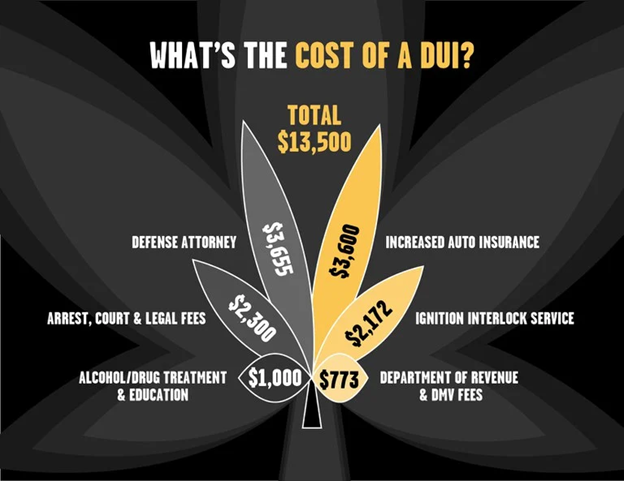 The image is an infographic titled "What's the Cost of a DUI?" with a total cost of $13,500.