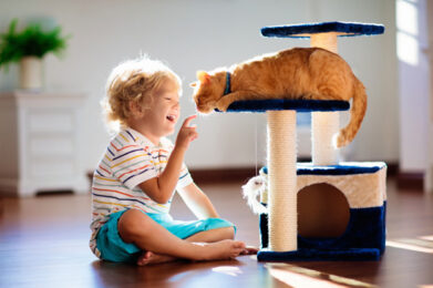 A-young-child-with-curly-blonde-hair-wearing-a-striped-shirt-and-blue-shorts-sits-barefoot-on-a-wooden-floor-smiling-and-reaching-out-to-touch-a-ginger-cats-nose.jpg